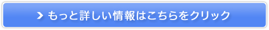 nCŊy݂ȂHIpbgɂyHawaii Palms English Schoolz̔TCg